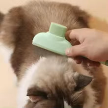 Groomer Brush