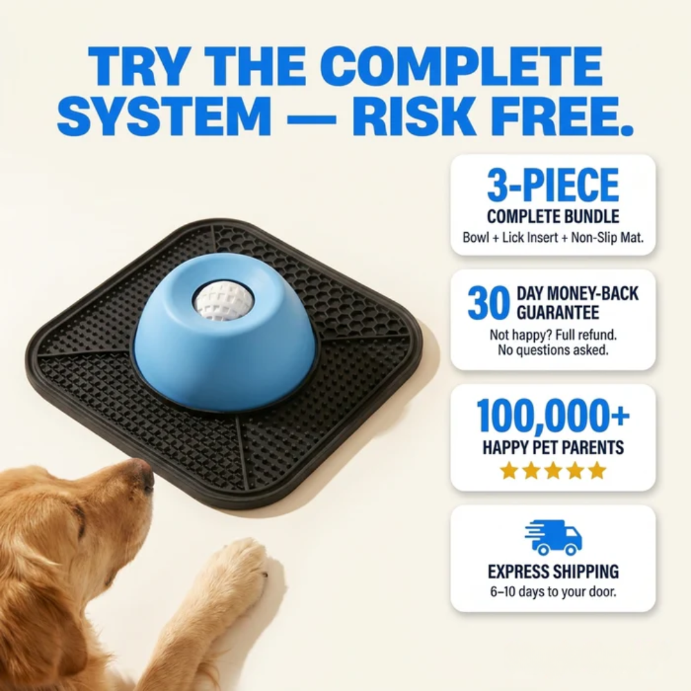 Spill-Proof Dog Bowl
