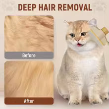Groomer Brush
