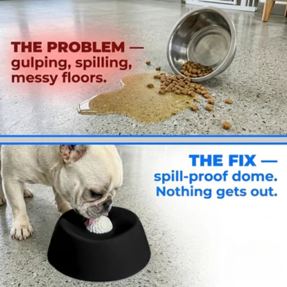 Spill-Proof Dog Bowl
