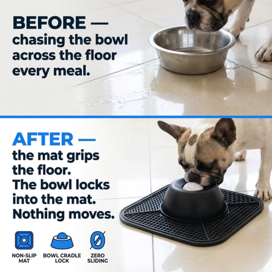 Spill-Proof Dog Bowl