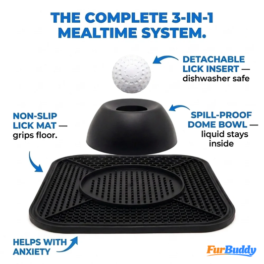 Spill-Proof Dog Bowl